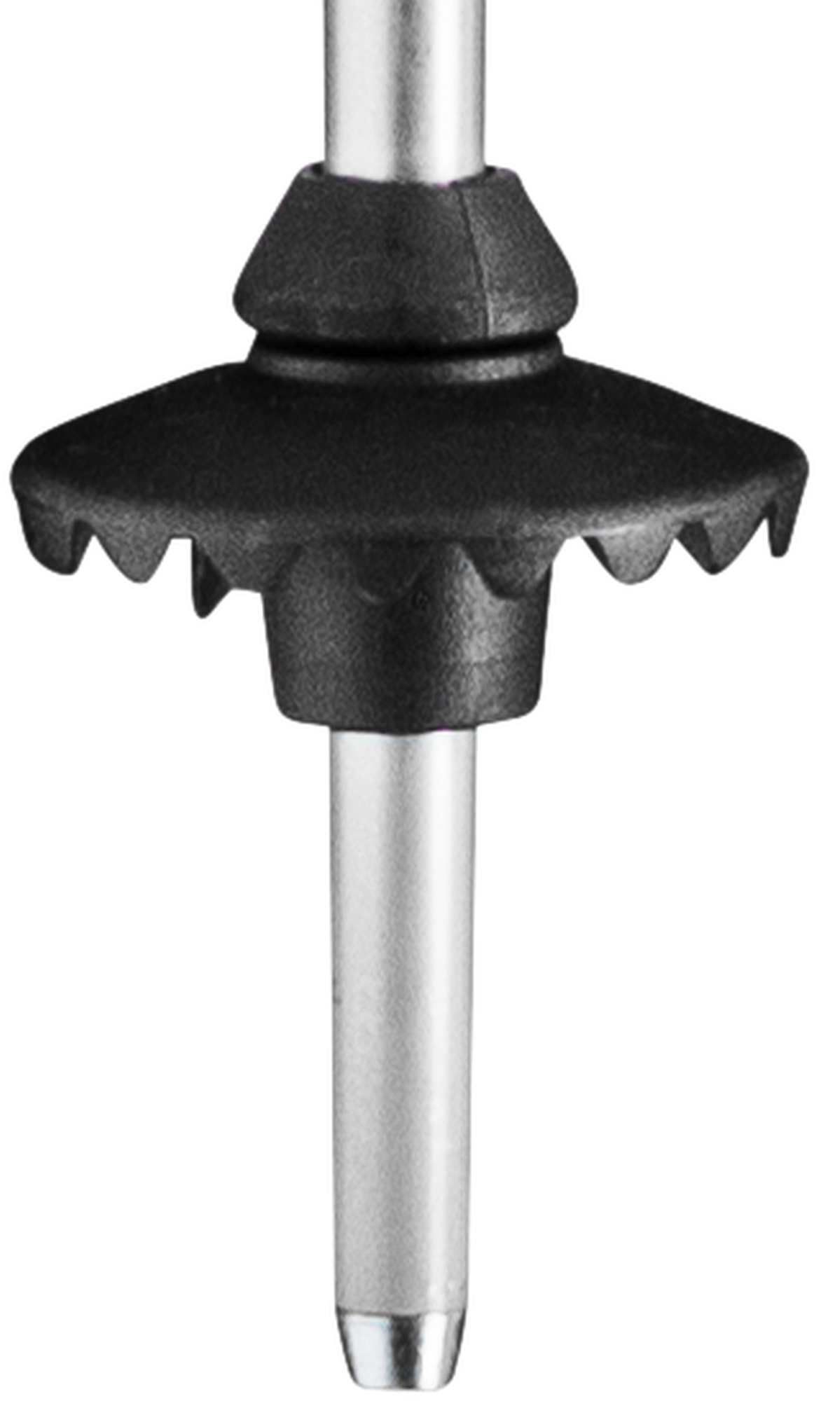Zjazdové palice LEKI Rental Classic, anodized natural silver-eloxal black